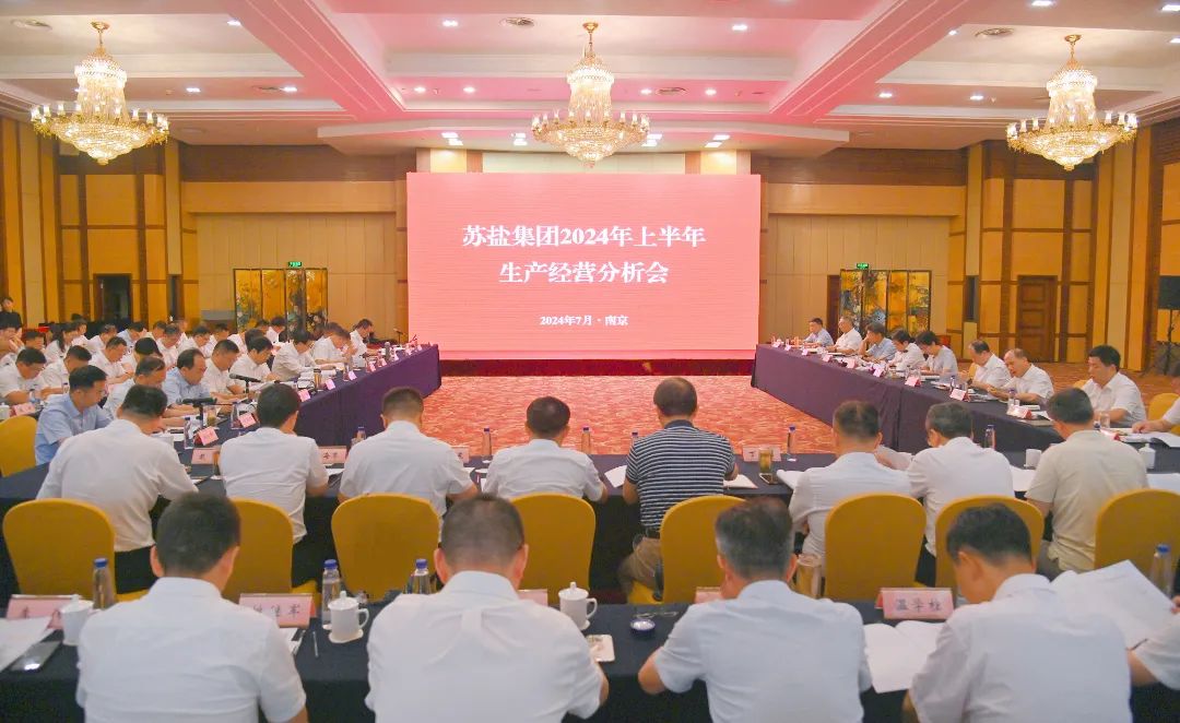 蘇鹽集團召開2024年上半年生產經營分析會 蘇鹽集團召開2024年上半年生產經營分析會